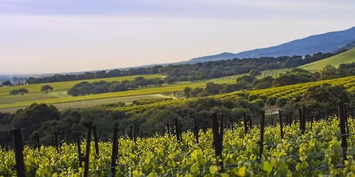 Lucia at Mondavi Center