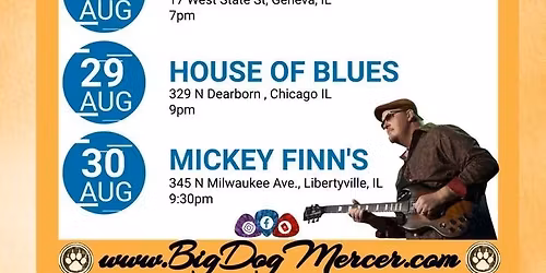 Big Dog Mercer in Geneva, IL