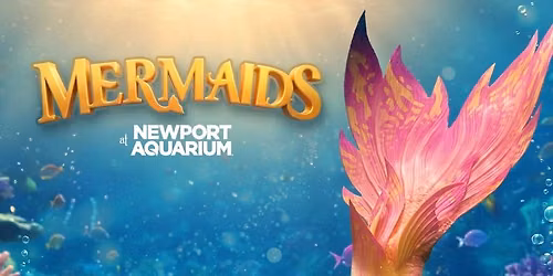 Mermaids Breakfast Event!