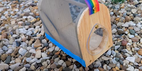 Bug Box Build