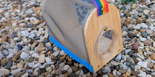 Bug Box Build