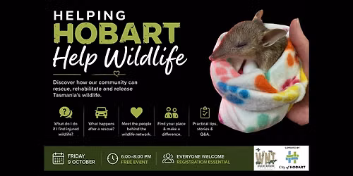 Helping Hobart Help Wildlife