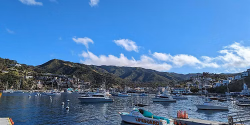Catalina Scavenger Hunt Walking Tour & Game