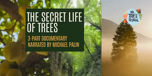 The Secret Life of Trees - 3-part Documentary Screening