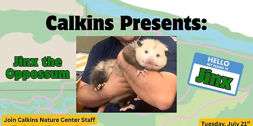 Calkins Presents: Jinx the Opossum