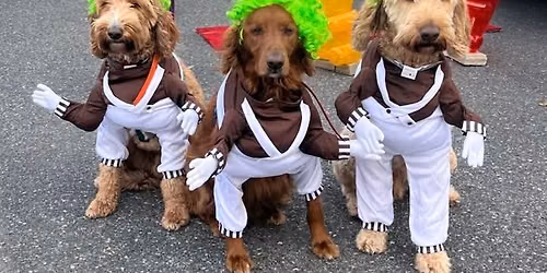 Trunk or Treat