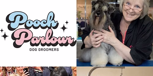 \u2702\ufe0f \u00a395 THE SCHNAUZER MASTERCLASS: Both Clipper Styling & Rolling Coats with Andrea Holland \u2702\ufe0f