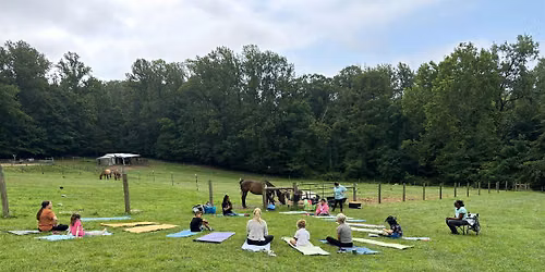 Mindful Movement with the Herd