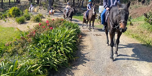 Incredible 2-Night Horse Camp for Non-Horse Owners