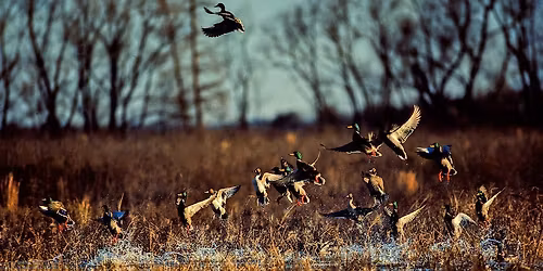 Traverse City Ducks Unlimited Annual Dinner