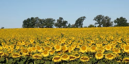 Homeschool Interest Meet-Up