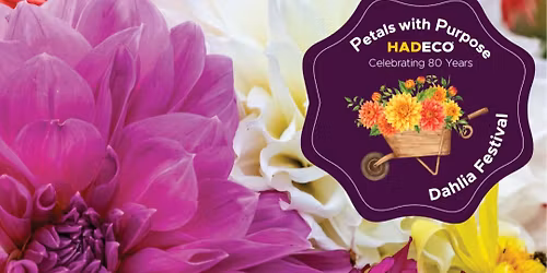 Petals with Purpose - Dahlia Festival 2026