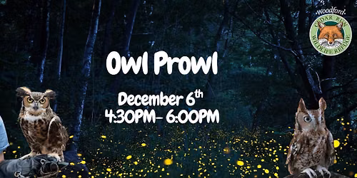 Owl Prowl