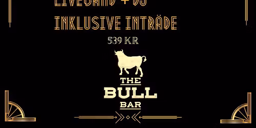 NY\u00c5RSSUPE \/ UNDERH\u00c5LLNING MED ROCKERZ + DJ