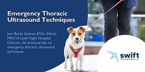 Emergency Thoracic Ultrasound Techniques