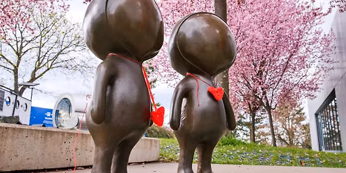 Amat\u00e9rsk\u00e1 prohl\u00eddka oblohy slav\u00ed 40