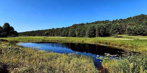 \ud83c\udf3f\u2600\ufe0f Weekend na Podlasiu: sp\u0142yw kajakowy Bugiem, SPA i zio\u0142owe warsztaty 