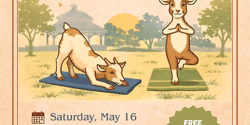 Baa-lance and Breathe! GOAT Yoga \ud83e\uddd8\ud83c\udffb\u200d\u2640\ufe0f\ud83d\udc10
