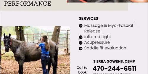 ProEquine Bodywork Clinic