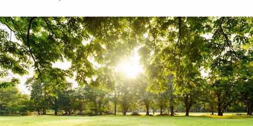 Pound at the Park