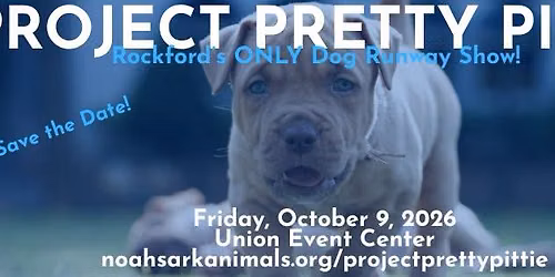 Project Pretty Pittie