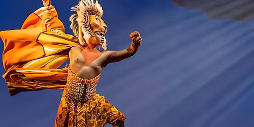 Parking The Lion King - Denver