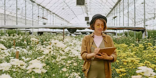 Soir\u00e9e d'\u00e9criture et d'observation d'exposition (en pr\u00e9sentiel)