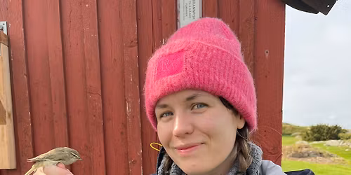 Ringmerking p\u00e5 Aker\u00f8ya