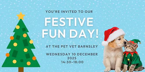 Festive fun day at The Pet Vet Barnsley!