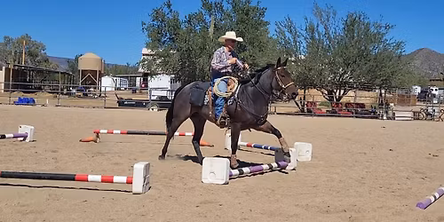 Horsemanship with Obstacles 