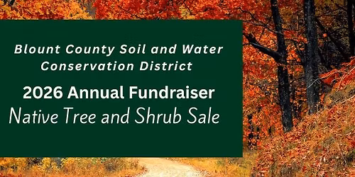 Native Tree and Shurb Sale