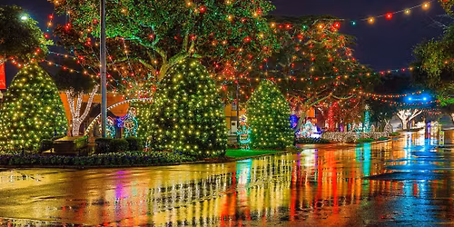 4th Annual Holiday Market - Forest City