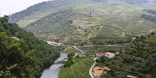 Viking Osfrid May 25, 2026