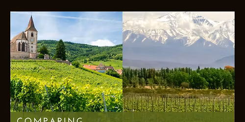 Comparing Old & New World Wines