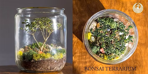 Bonsai Terrarium Workshop