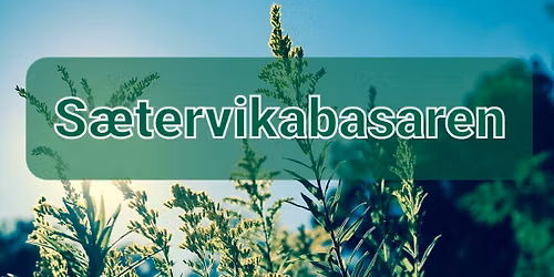 S\u00e6tervikabasaren