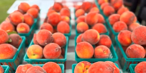 City of Tuscaloosa Tuesday Farmers Markets