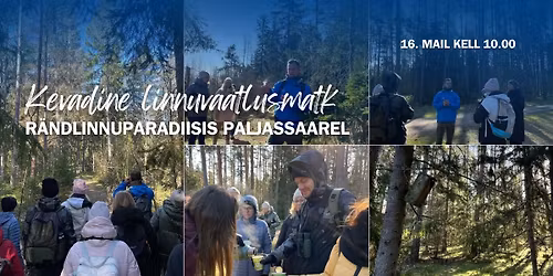 Linnuvaatlusmatk Paljassaarel 16. mail