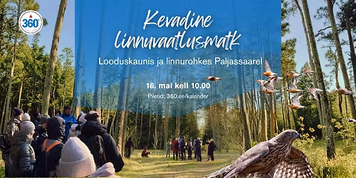 Linnuvaatlusmatk Paljassaarel 16. mail