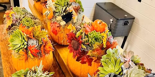 Succulent Pumpkin 