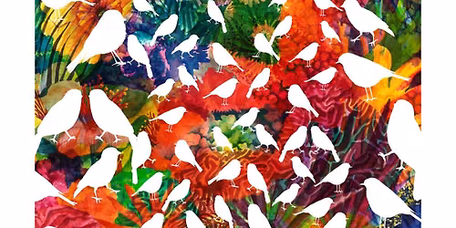 Exposition | Noms d'oiseaux \u2014 Alice Lauret