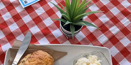 Afternoon tea and spring flowerpot workshop