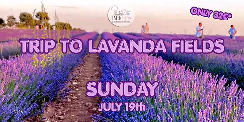 Trip to Lavanda Fields! JULY 19th