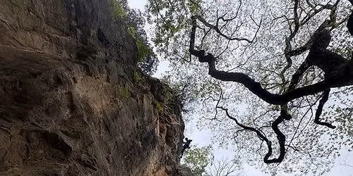 Adopt-a-Crag - Robinson Bluff Route Cleaning Day