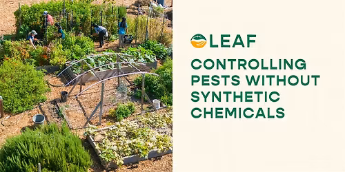 Controlling Pests without Synthetic Chemicals