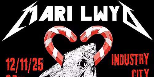 The Mari Lwyd - A Theatrical Pub Crawl