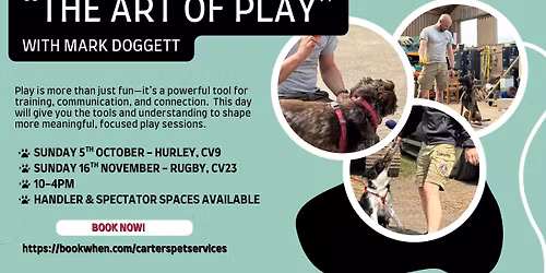 The Art of Play - Mark Doggett, Hurley CV9