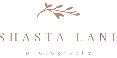 Christmas Tree Farm Mini Photo Sessions