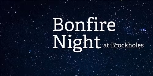 Wildlife Friendly Bonfire Night at Brockholes (No Fireworks)