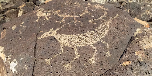 Guided Hike: Piedras Marcadas Canyon